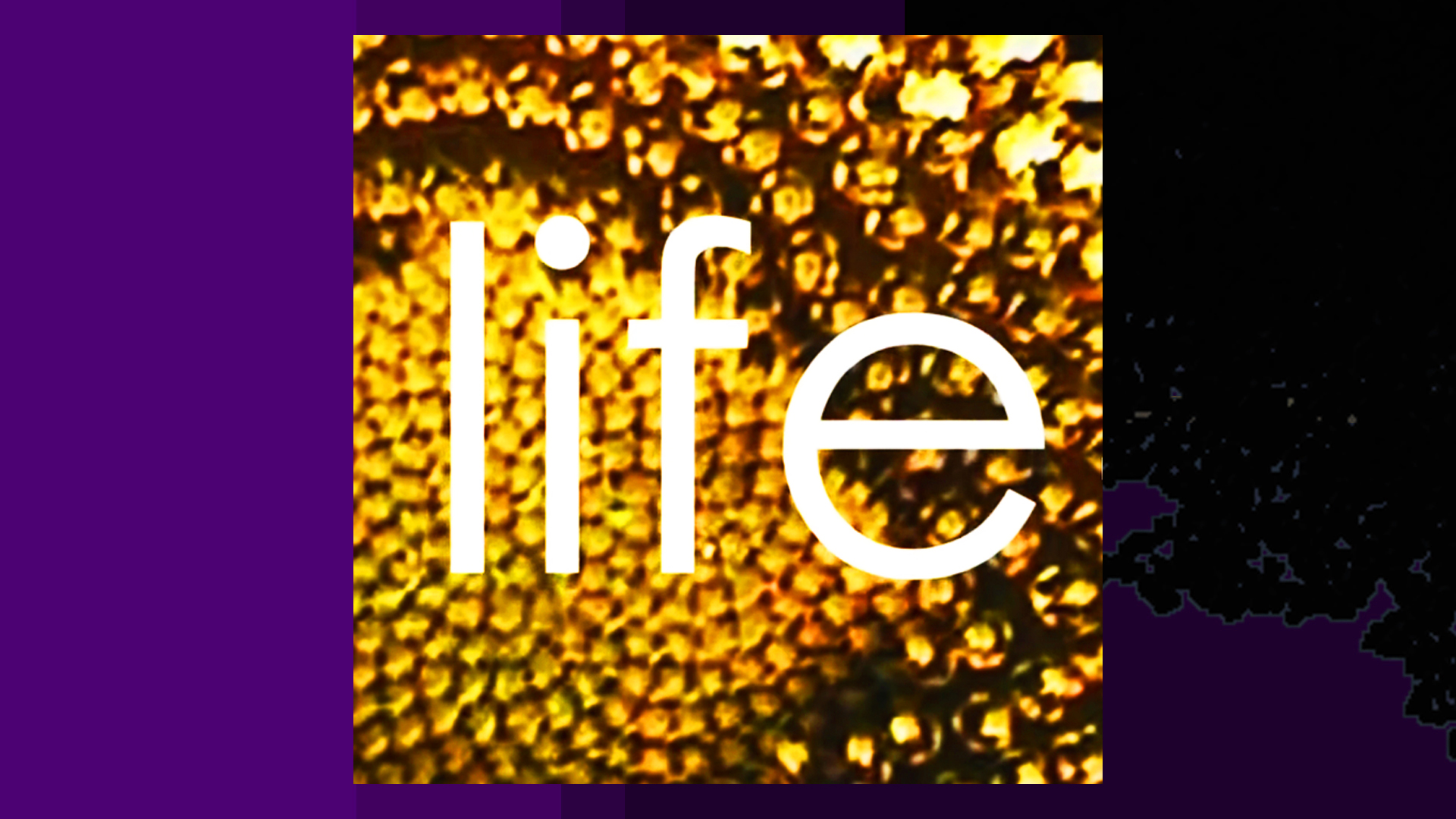 Life (2009) by ionone Music